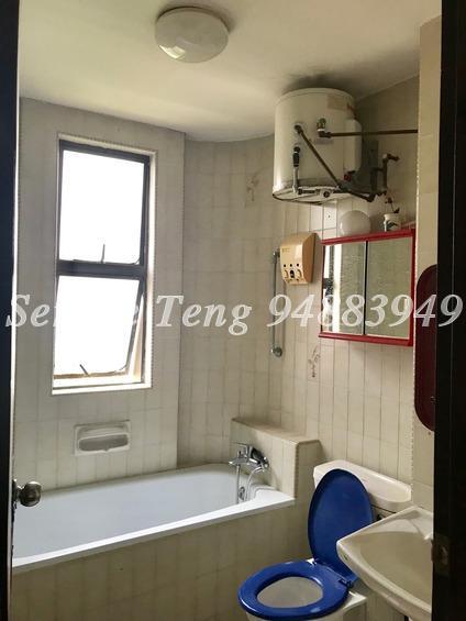 Joo Chiat Mansions (D15), Apartment #170244082